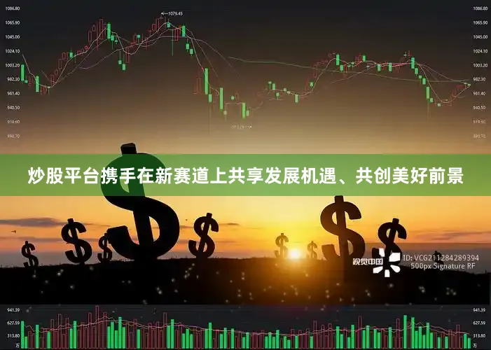 炒股平台携手在新赛道上共享发展机遇、共创美好前景