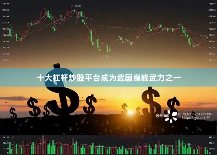 十大杠杆炒股平台成为武国巅峰武力之一